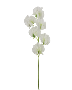 Sweet Pea Spray 42cm White
