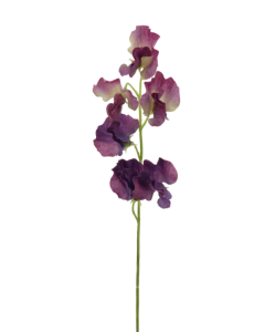 Sweet Pea Spray 42cm Purple