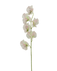 Sweet Pea Spray 42cm Pink/White