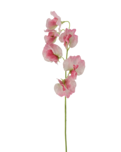 Sweet Pea Spray 42cm Pink