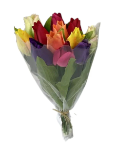 Mixed Colour Tulip Bunch 38cm