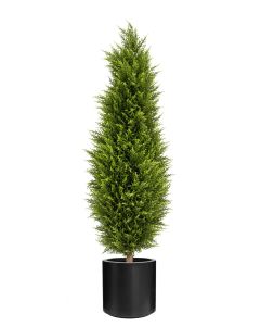 UV Cypress Tower 120cm In Stockholm Pot Black