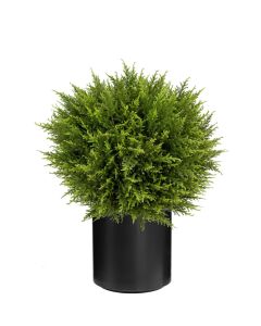 UV Cypress Ball 60cm In Stockholm Pot Black