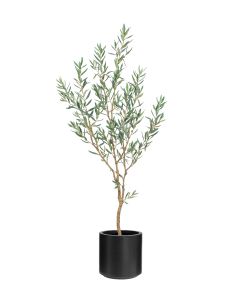 Olive Tree 180cm In Black Stockholm Pot
