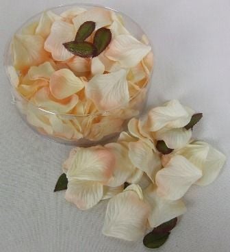Petal Box Peach x 164-0