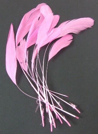 Diamond Feathers x 12 Fushia-0