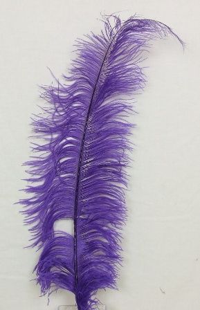 Ostrich Feathers D. Purple X 5-0