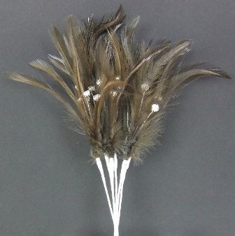 Diamonte Feathers Brown x 3 Bchs-0