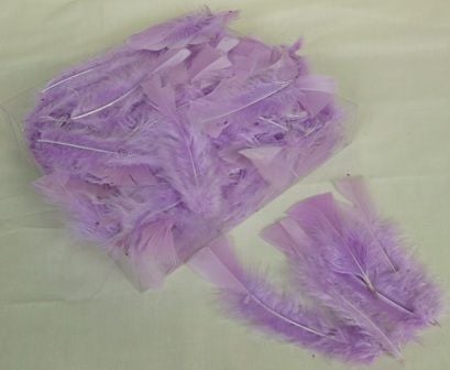 Turkey Feathers Box Lilac (Fresie)-0