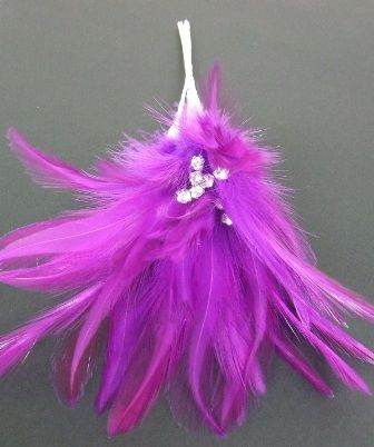 Diamonte Feathers Plum x 3 Bchs-0