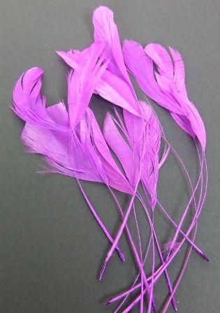 Diamond Feathers x 12 Plum-0