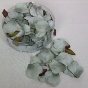 Petal Box x 164 Grey-0