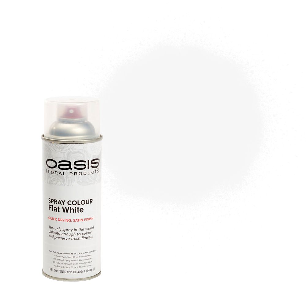 OASIS® Spray Colour Flat White-0