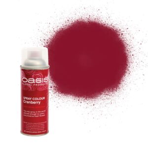 OASIS® Spray Colour Cranberry-0