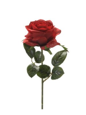Rose Simone Red 45cm-0