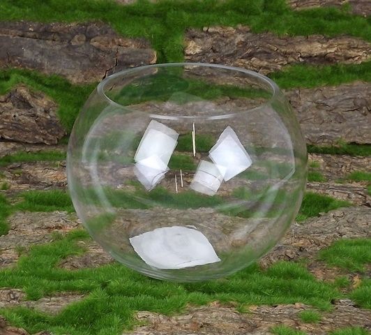 15 x 12cm Glass Bubble Bowl-0