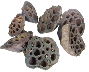 Lotus Heads Small x 100pcs-0