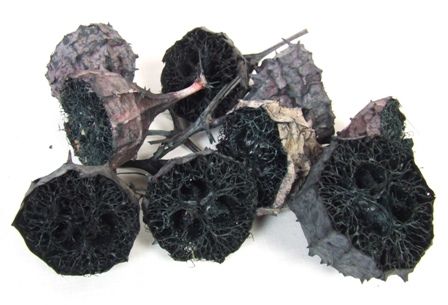 Lufa Spiky Half Black x 20-0