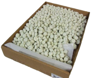 Putka Pods Misty White-0