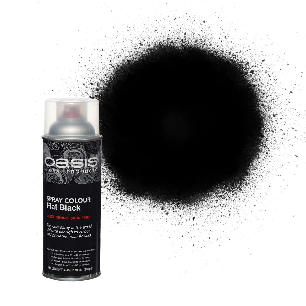 OASIS® Spray Colour Flat Black-0