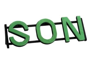 OASIS® NAYLORBASE® Son