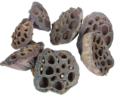 Lotus Heads Small x 100pcs-0
