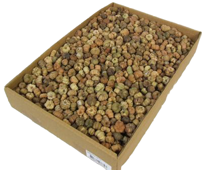 Putka Pods Natural-0