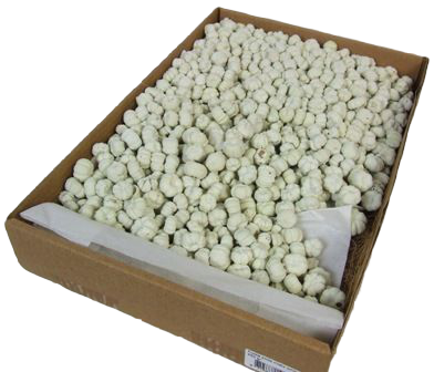 Putka Pods Misty White-0