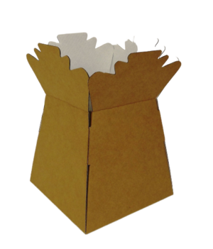 Natural Kraft Living Vases x 30-0
