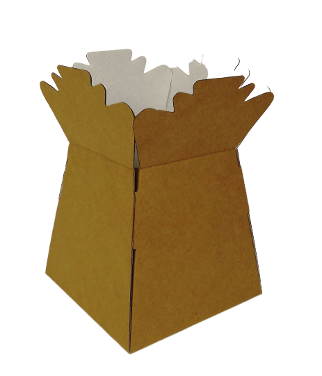 Natural Kraft Living Vases x 30-0