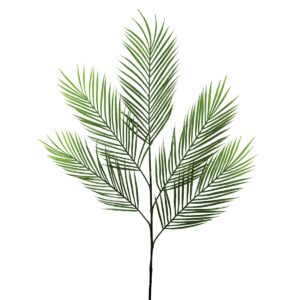 Areca Palm Branch 98cm-0