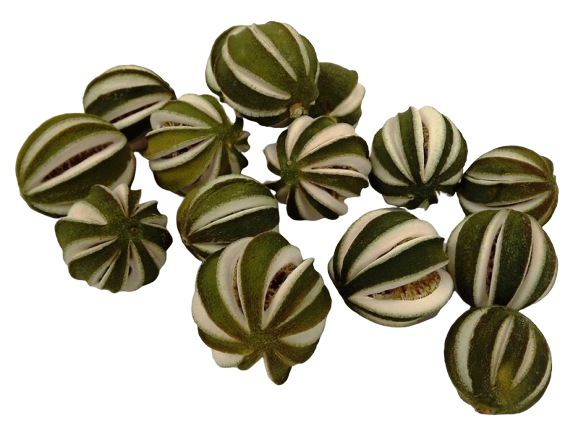 Dried Lemons Whole Slit x 250g Green