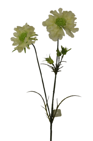 Scabiosa Spray-84cm Cream-0