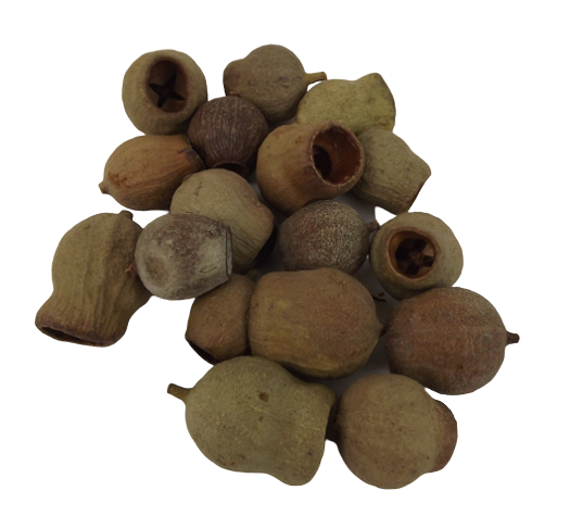 Euc Bells Natural x 1kg-0