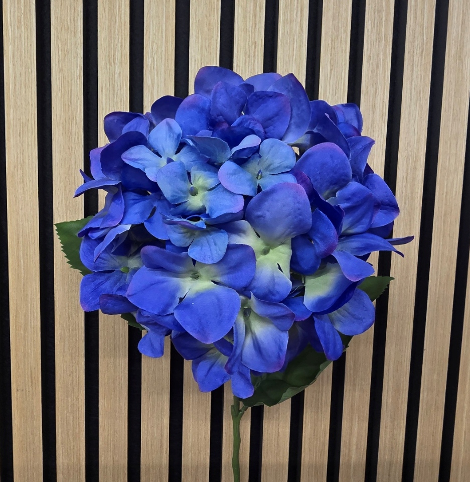 Hydrangea Macrophylla 67cm Dark Blue