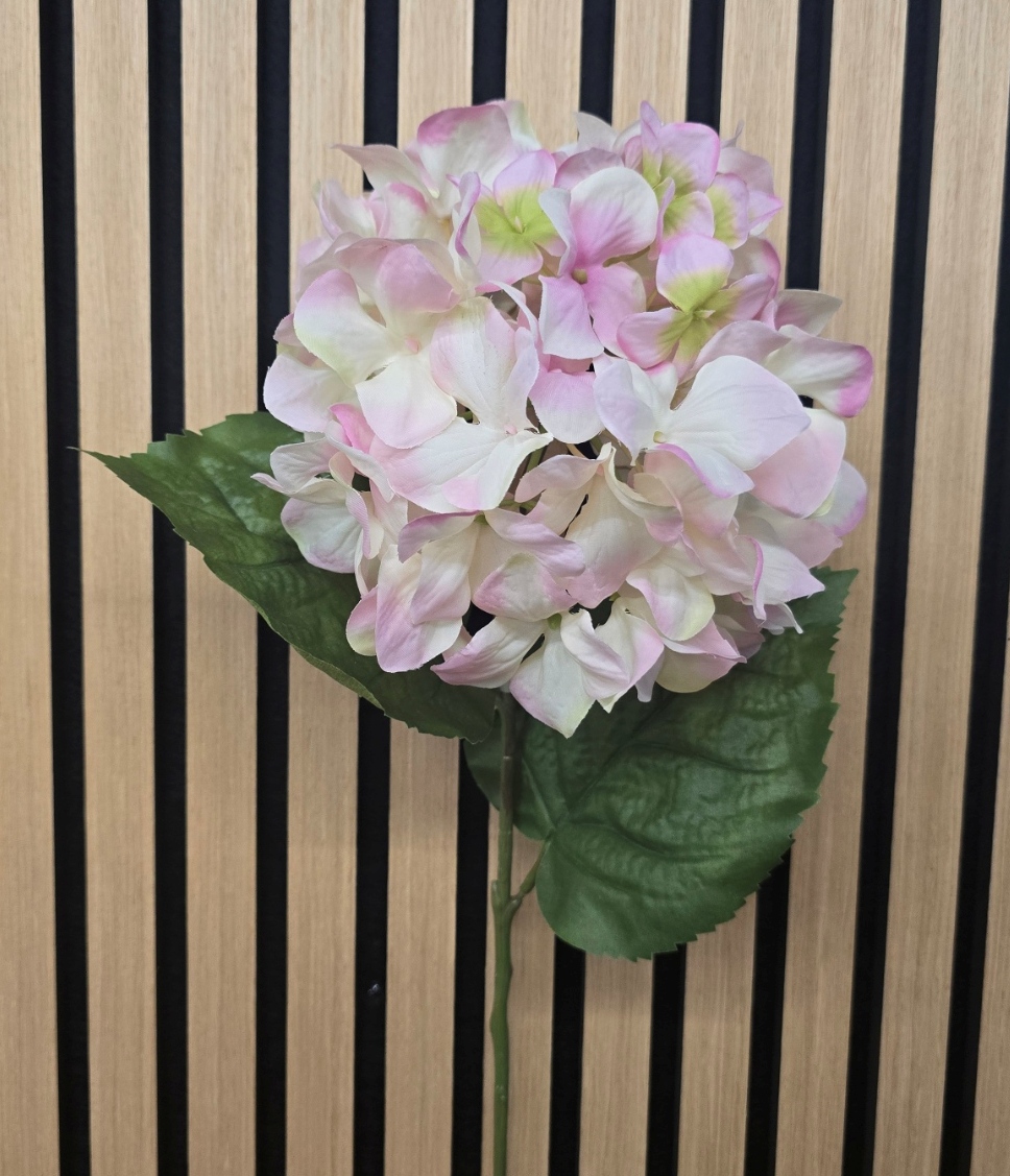 Hydrangea Macrophylla 67cm Light Pink
