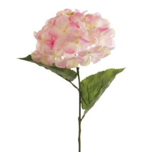 Hydrangea Macrophylla 67cm Light Pink-0