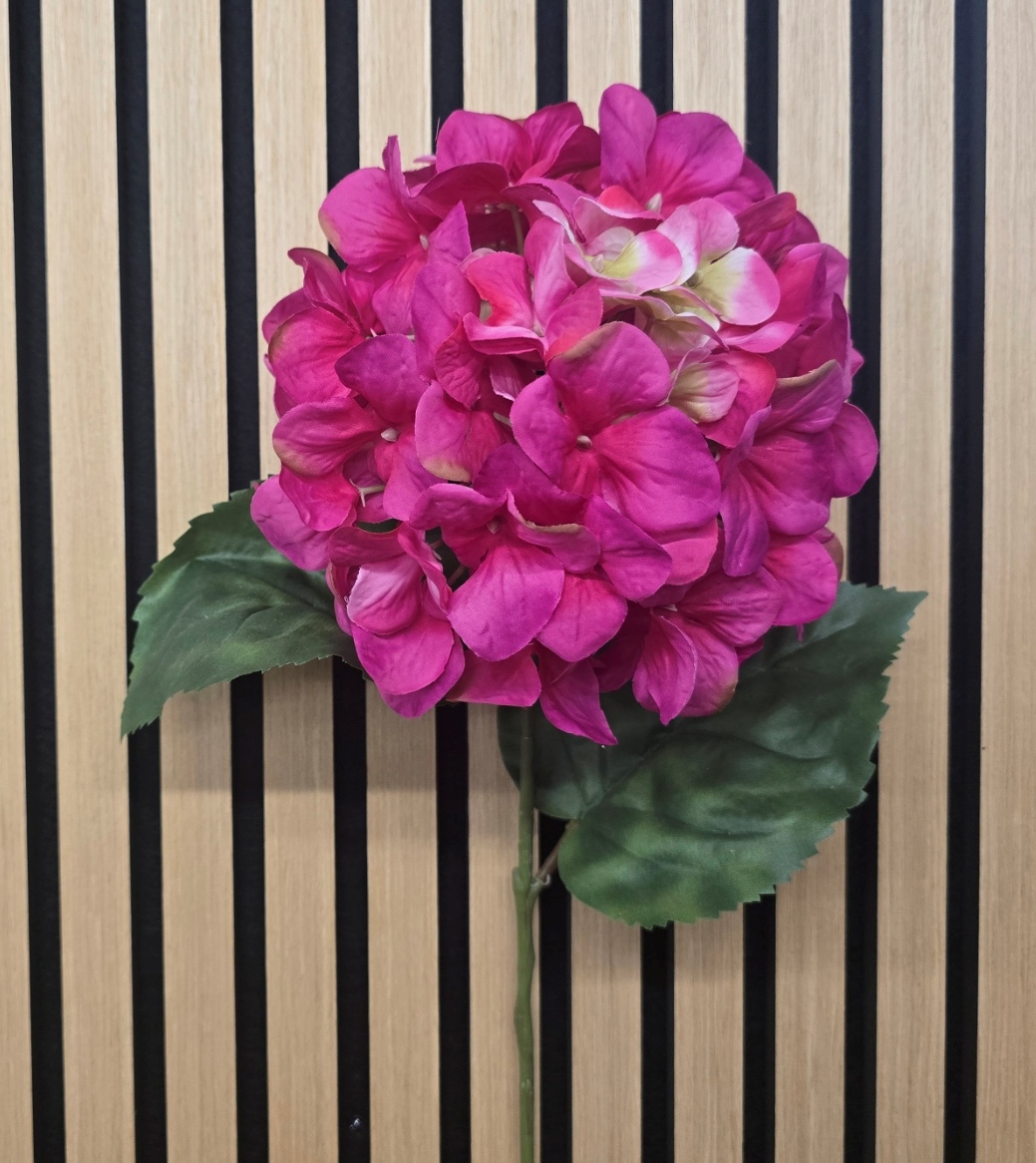 Hydrangea Macrophylla 67cm Magenta