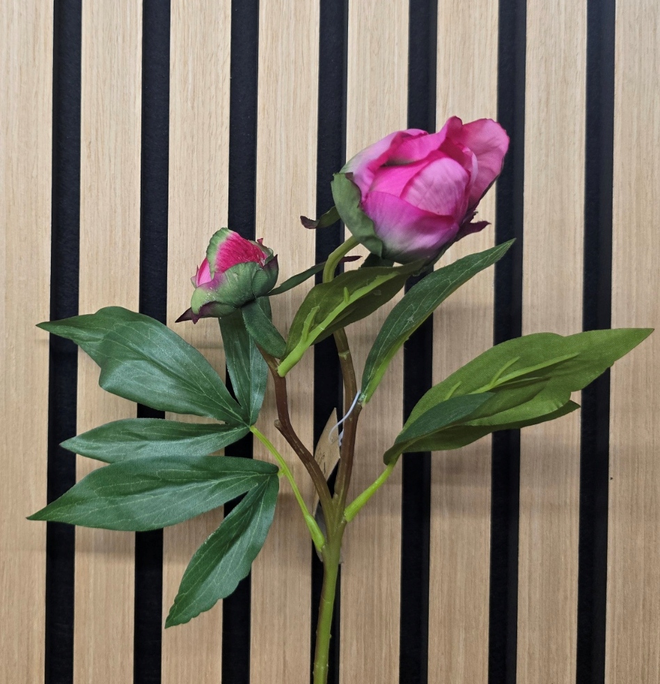 ECO Peony Bud 48cm Dark Pink