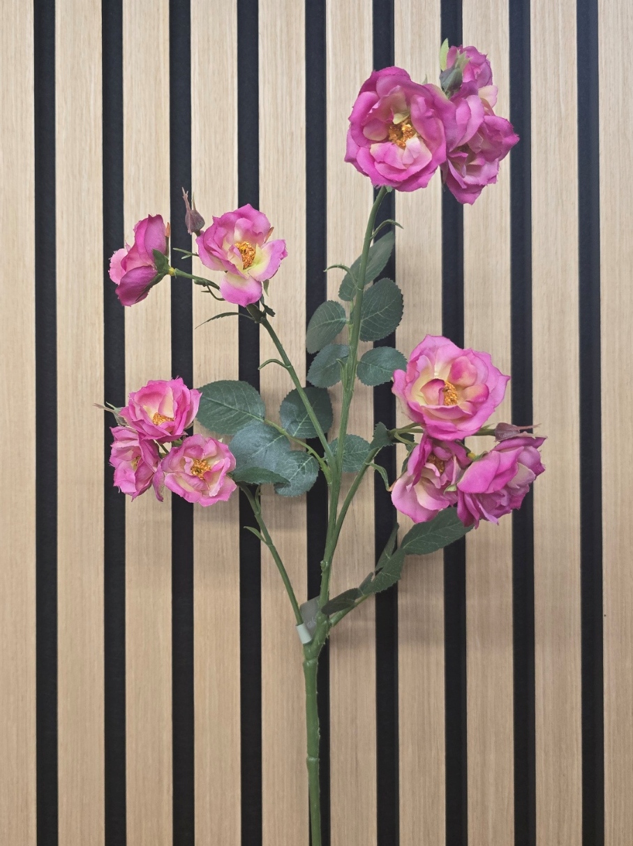 Isabella Wild Rose Spray 73cm Beauty