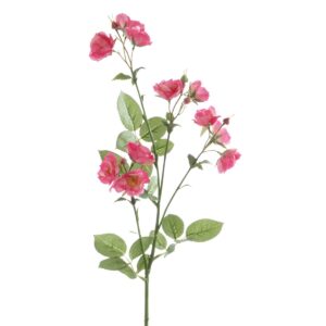 Isabella Wild Rose Spray 73cm Beauty