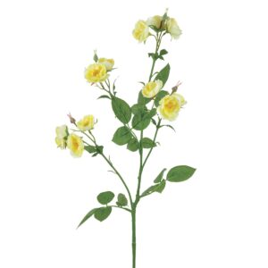 ECO Isabella Wild Rose Spray 73cm Lemon