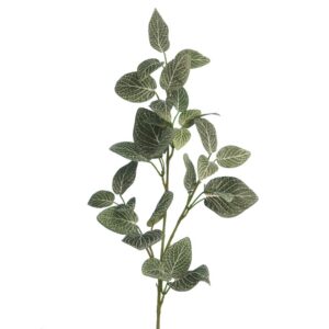 Fittonia Spray 67cm Green-0