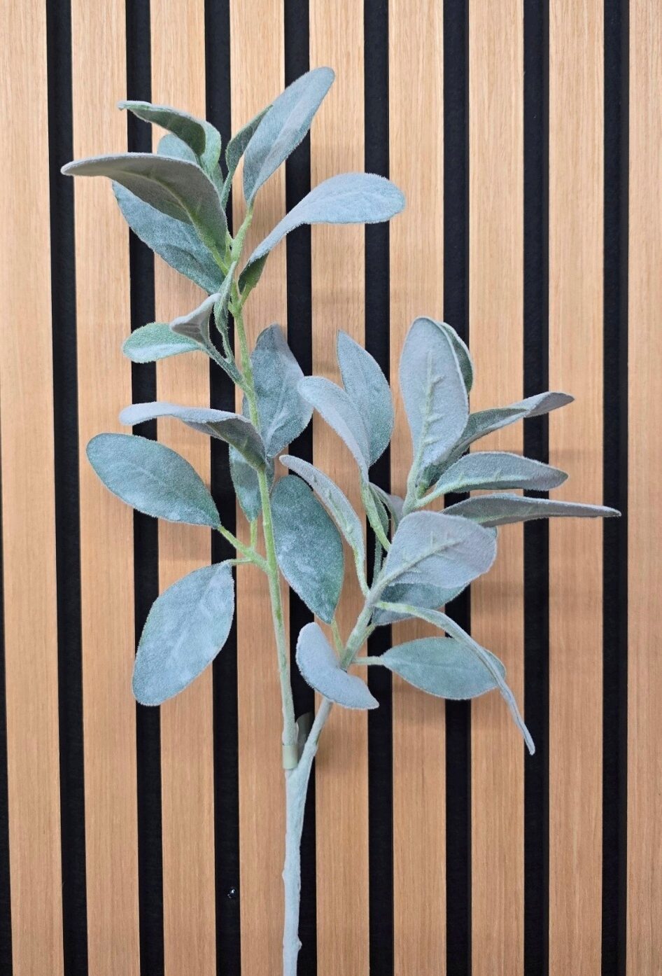 Lambs Ear Spray Grey/Green 71cm