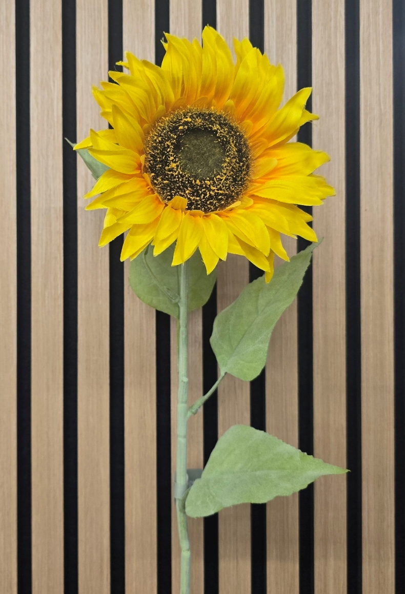 Sunflower 70cm