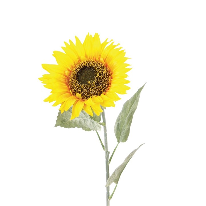 Sunflower 70cm-0