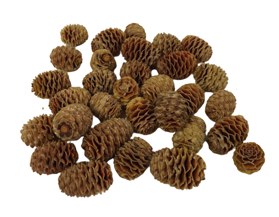 Leuc. Sabulosum Heads x 1kg-0