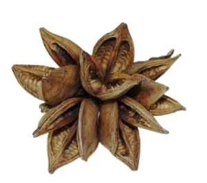 Sororoca Cluster-0