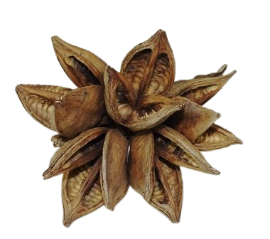 Sororoca Cluster-0
