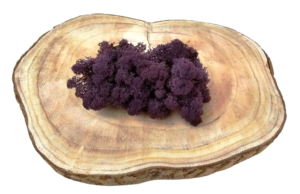 Reindeer Moss (Icelandic Moss) Aubergine